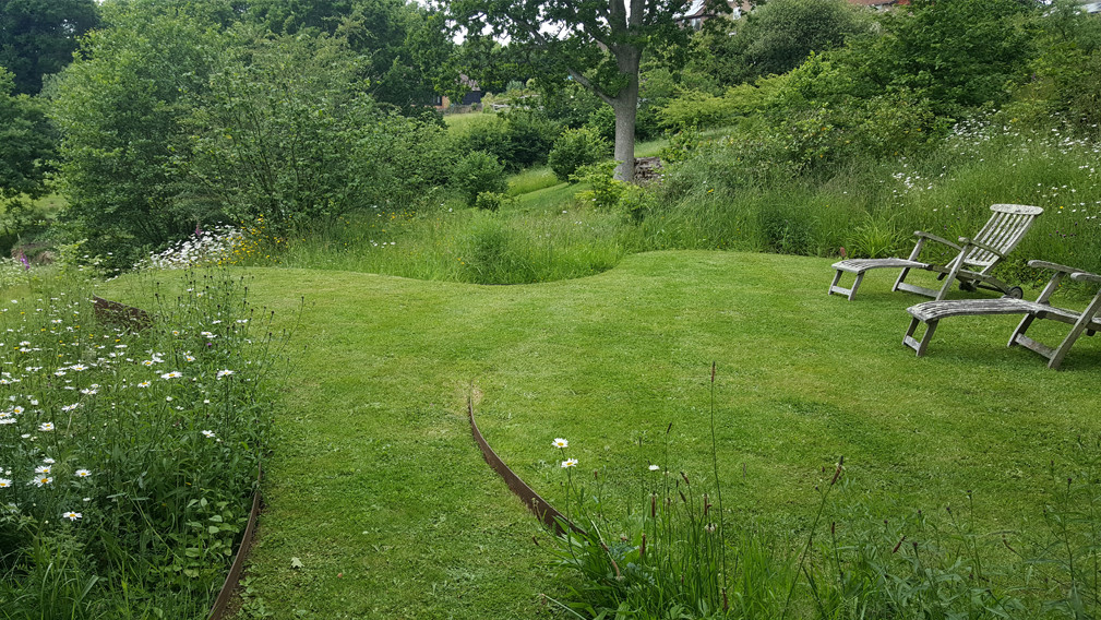 Fairlight End: A Natural and Contemporary Garden in a Sloping Landscape
