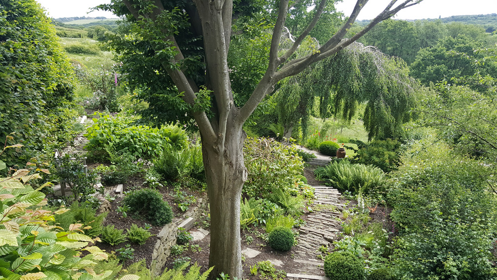 Fairlight End: A Natural and Contemporary Garden in a Sloping Landscape